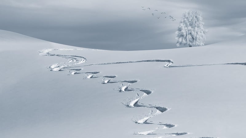 Winter Wonderland